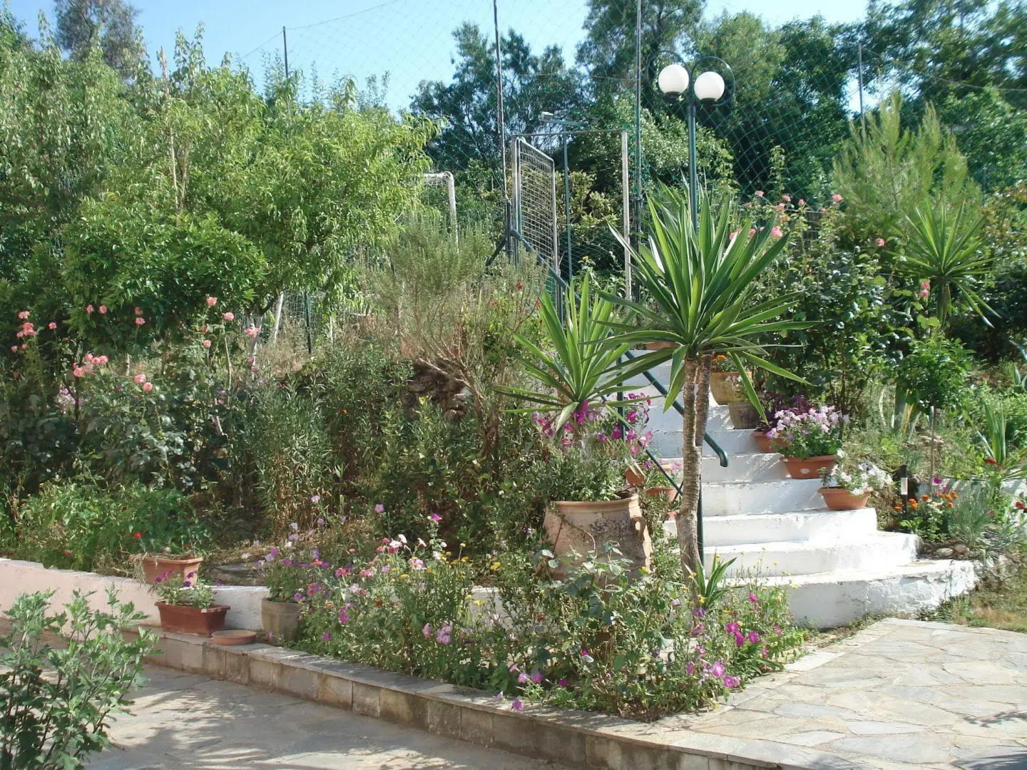 Villa Avra