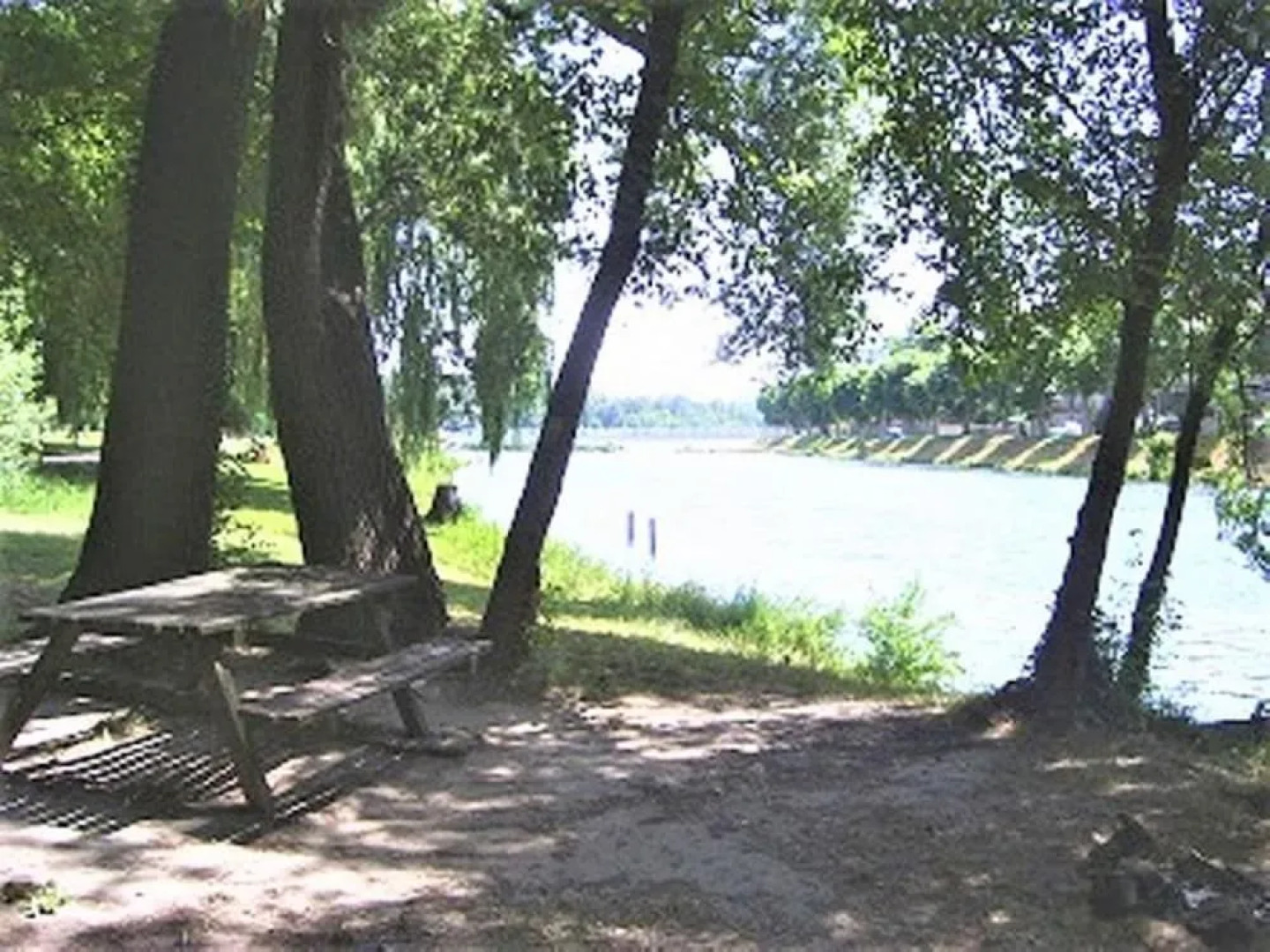 Chambre d'hôtes Myosotis