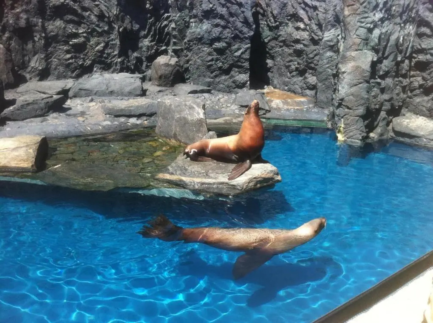 The Taber Inne & Suites