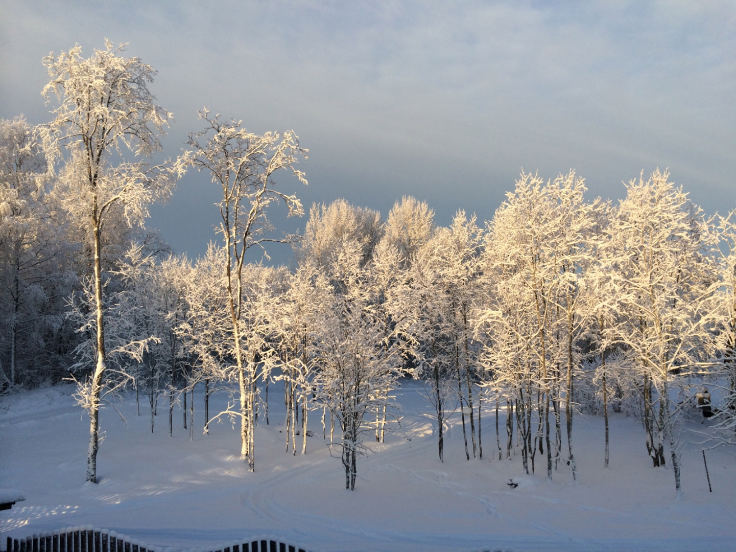 Martsial'nye kljuchi