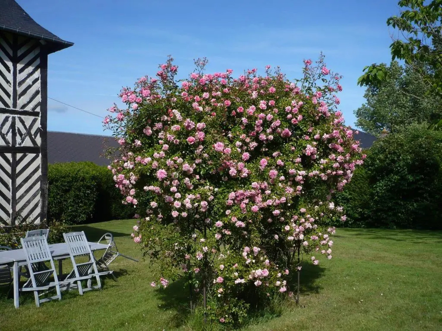 Manoir du Poirier de Chio