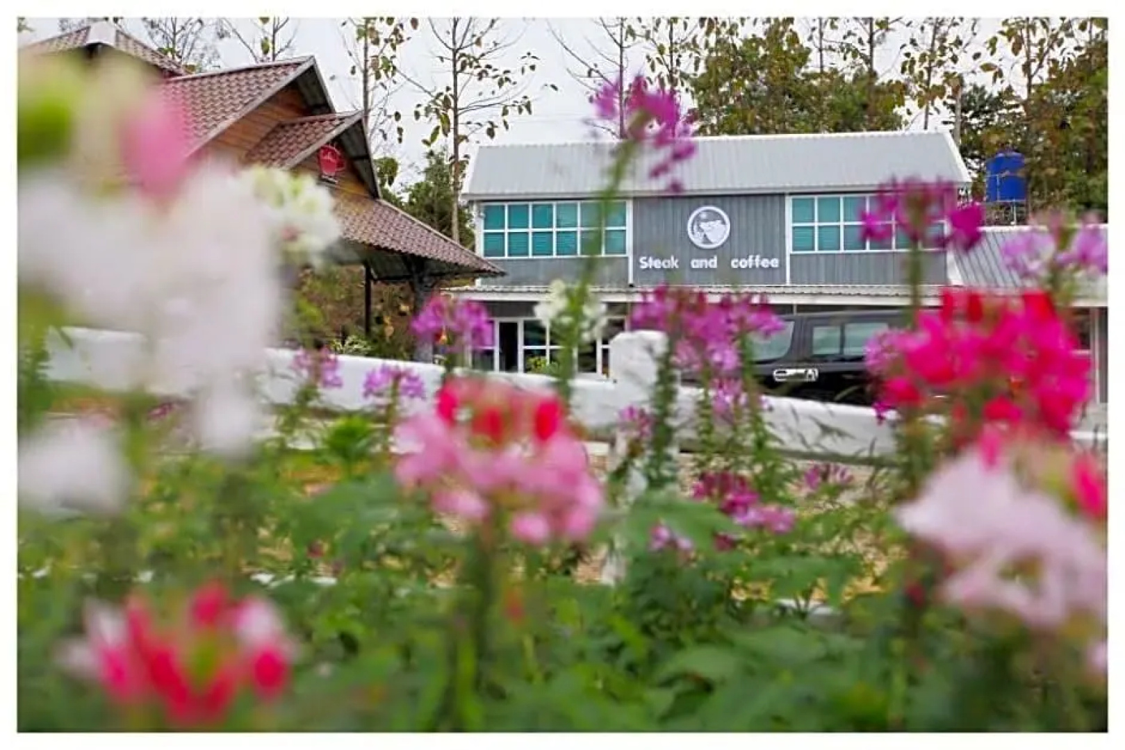 Chill chill farm resort