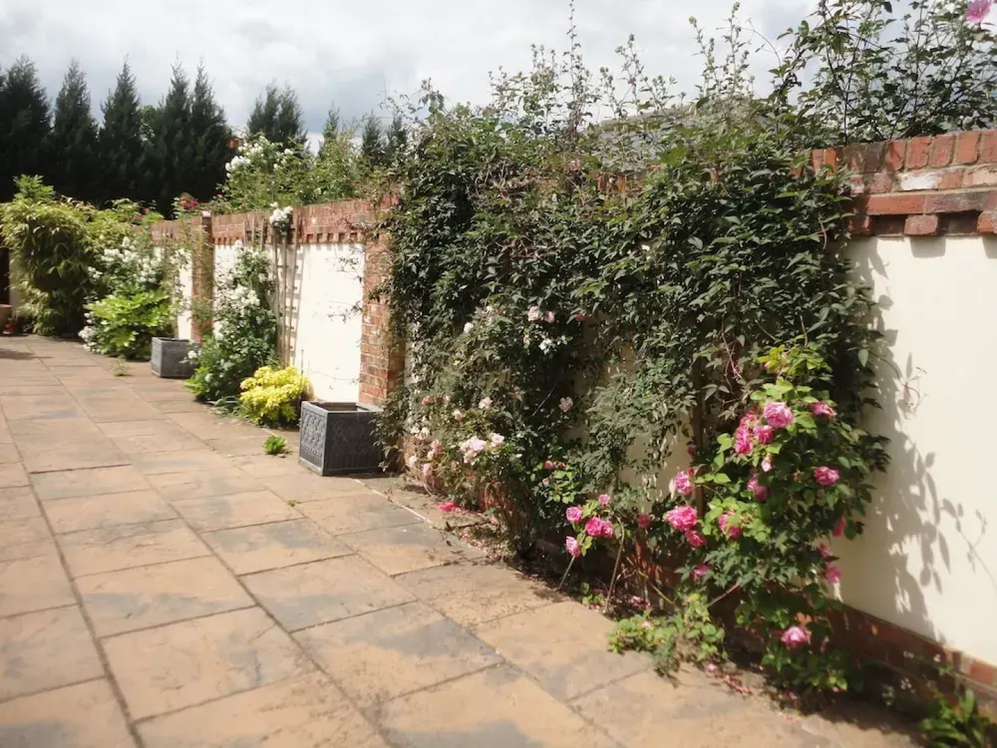 Willow Court Farm