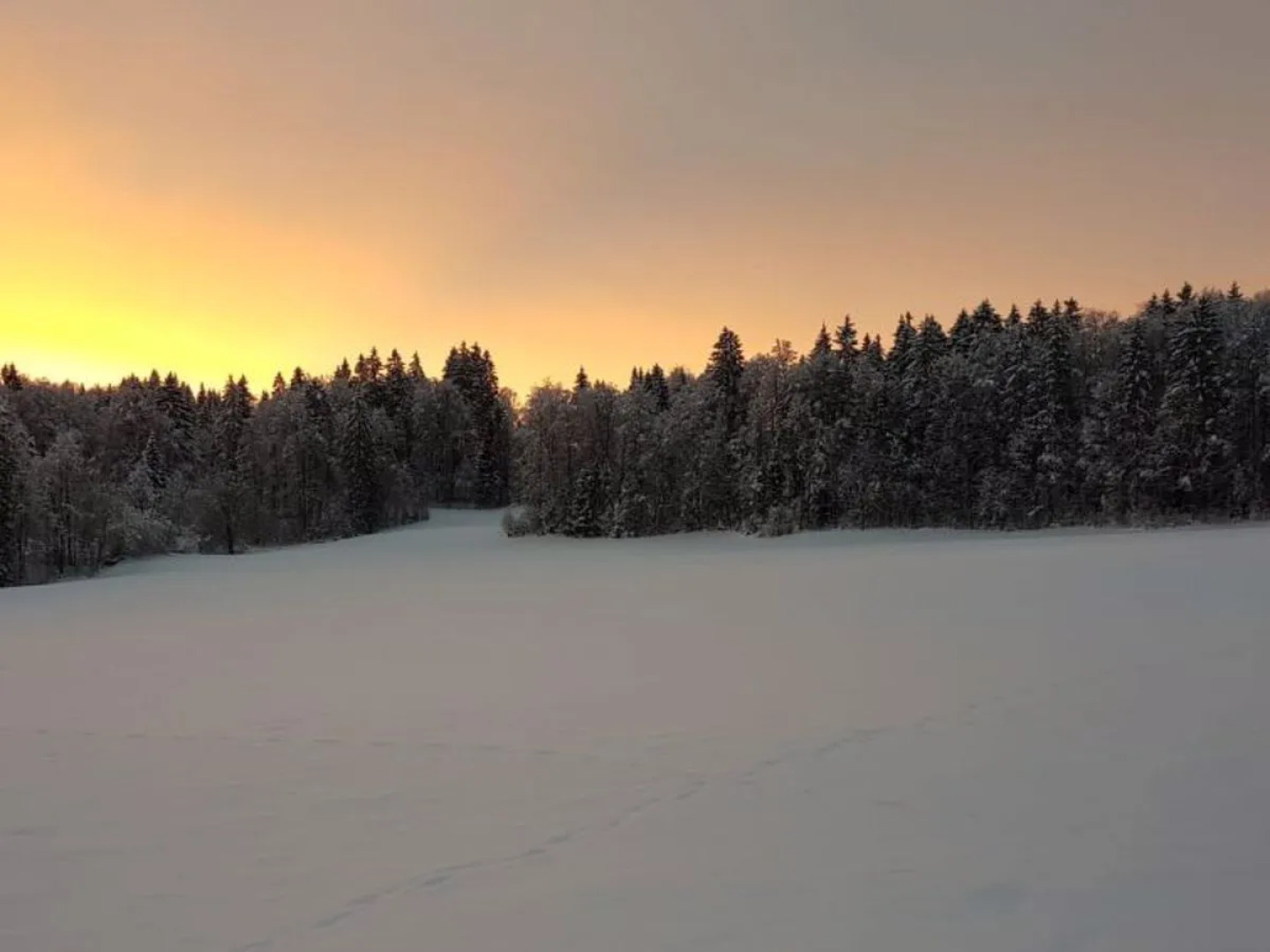 Appartement - Les Poingnats Les Breuleux
