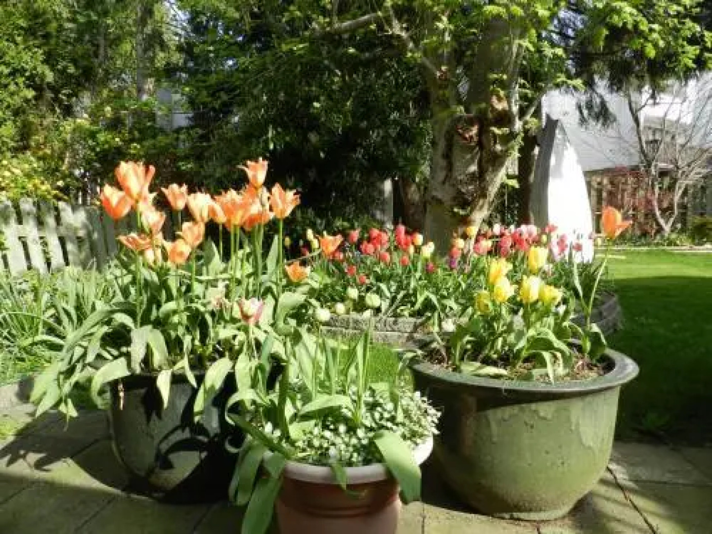 Serenity Bed and Breakfast