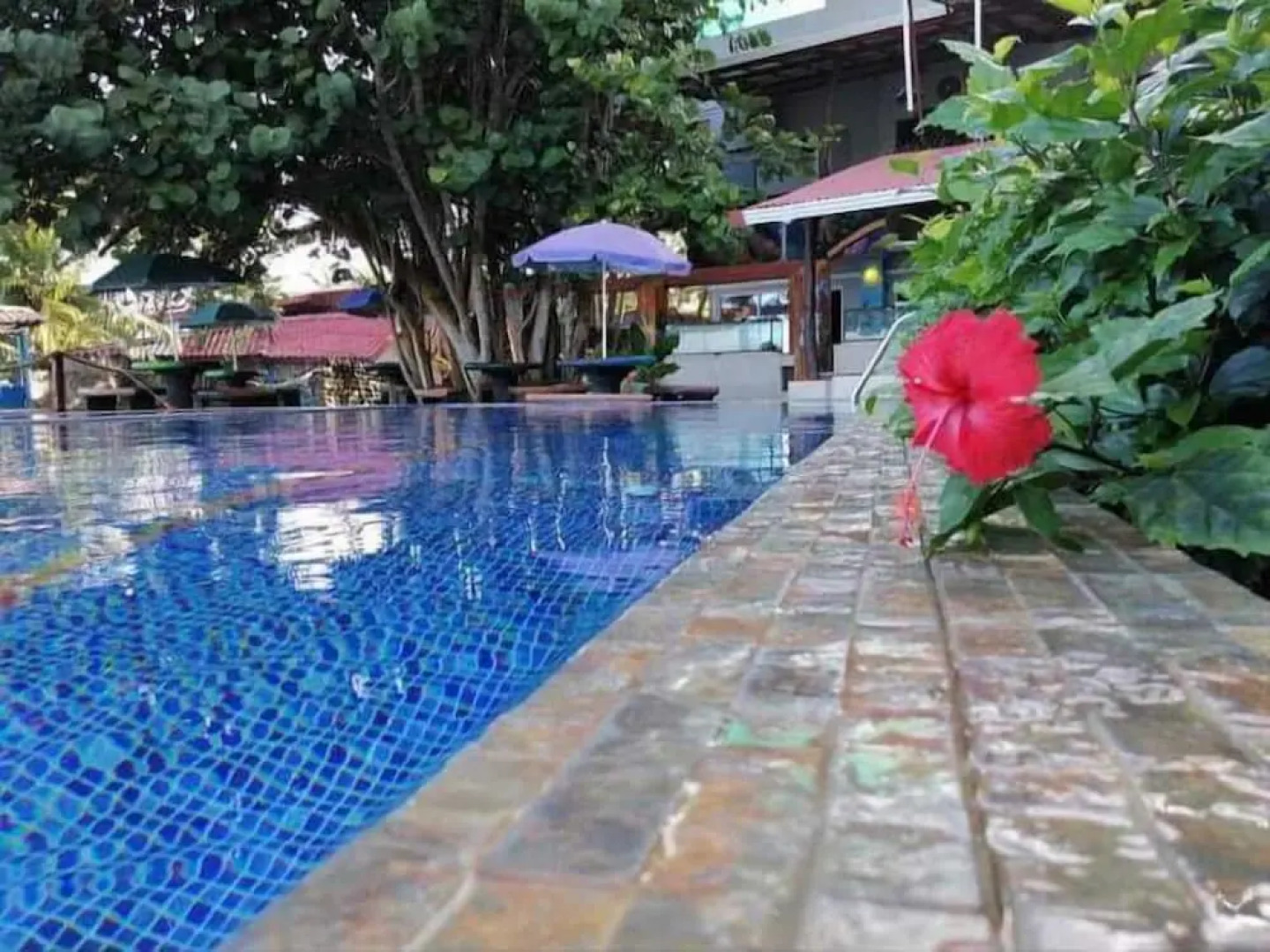 Hotel La Cueva De Limón