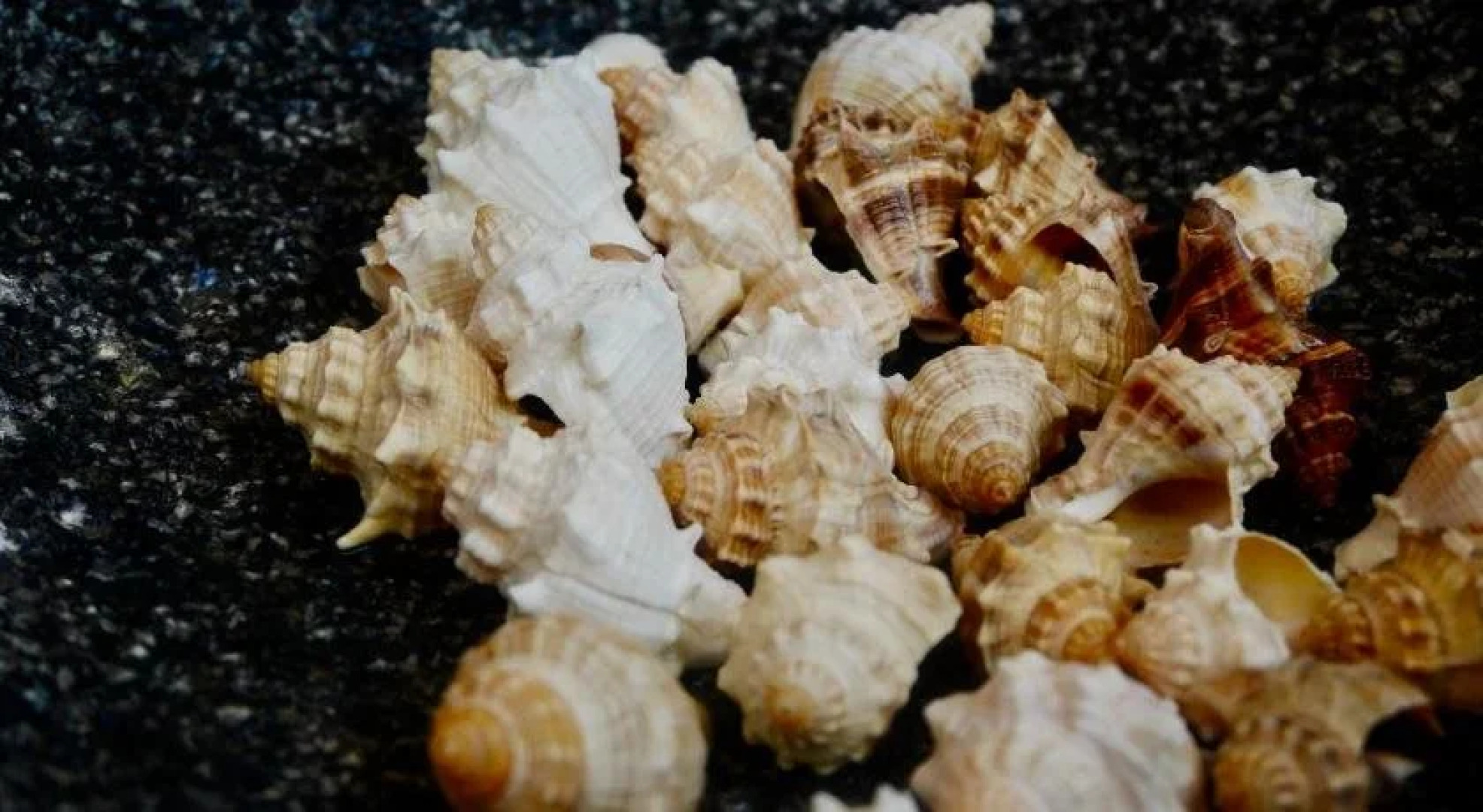 Casa de las Conservas Bed and Breakfast