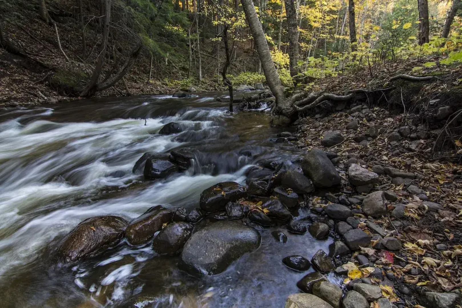 Rippling River Resort