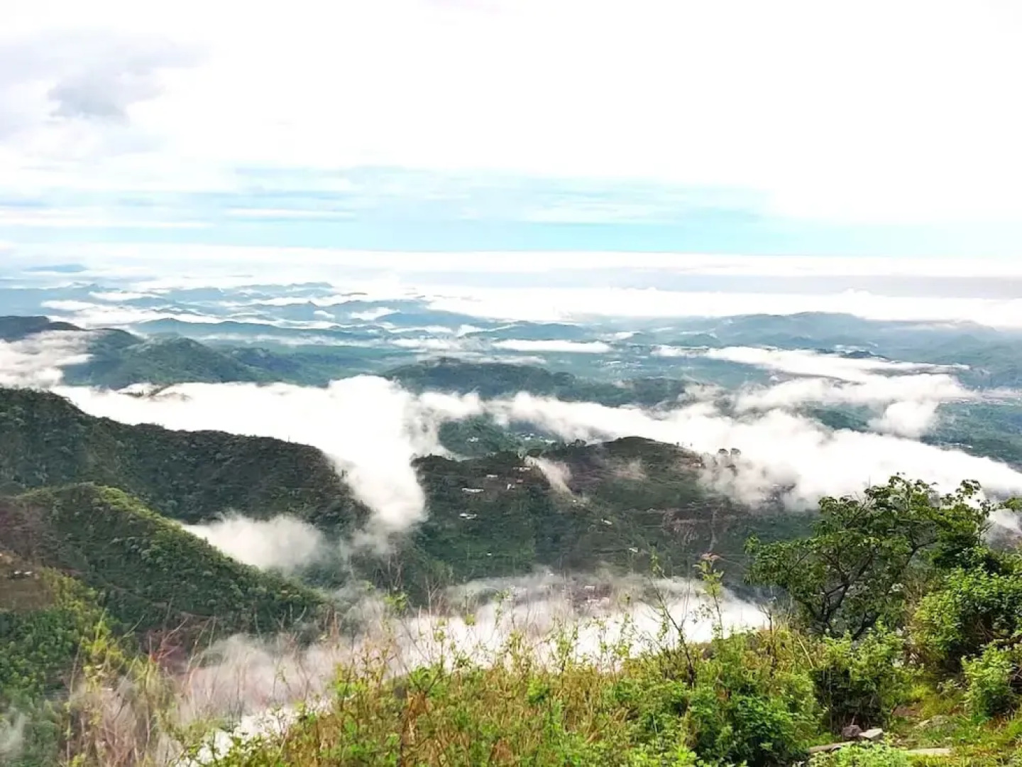 Jaitak Resort By Pine