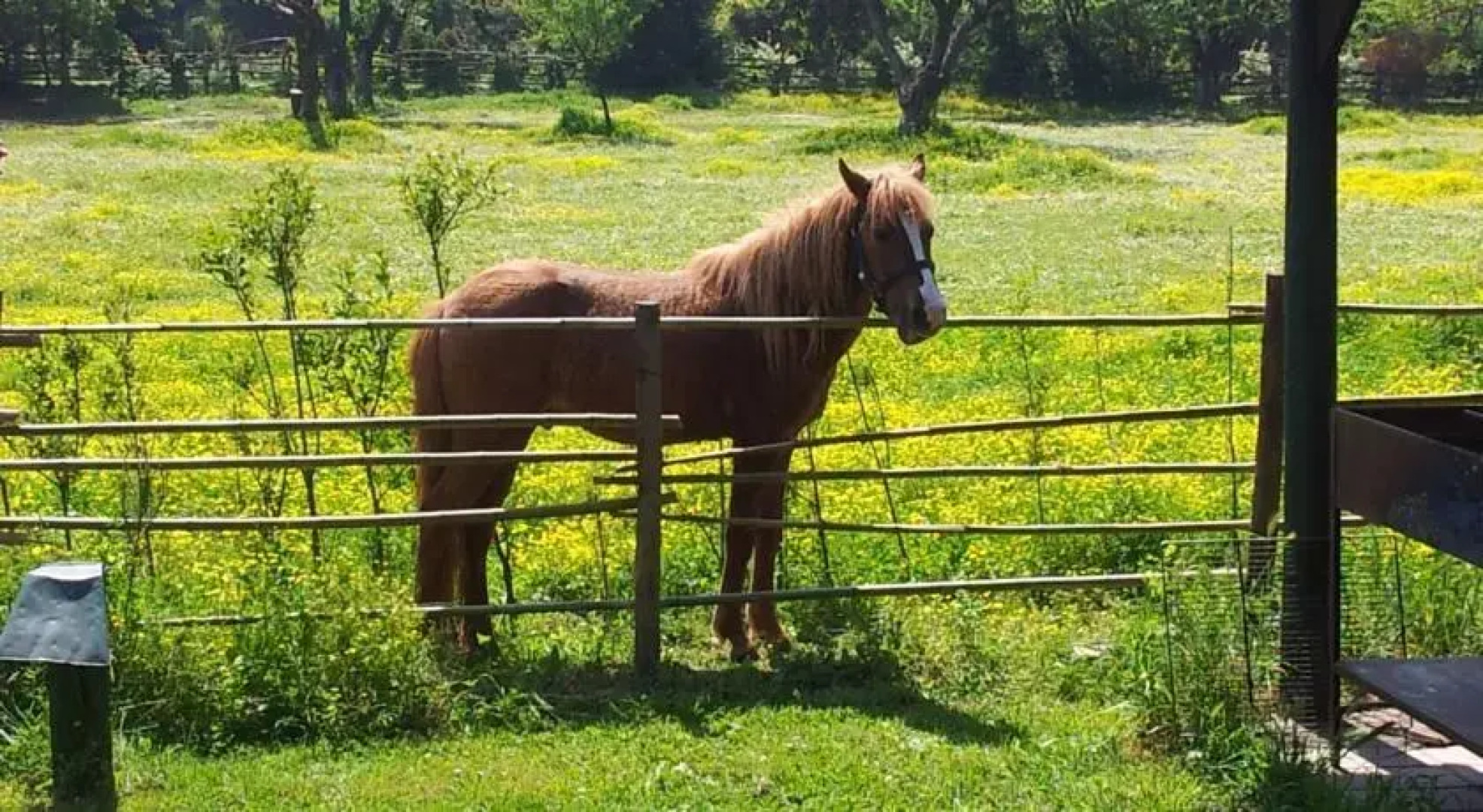 Grandmas Farm Houses
