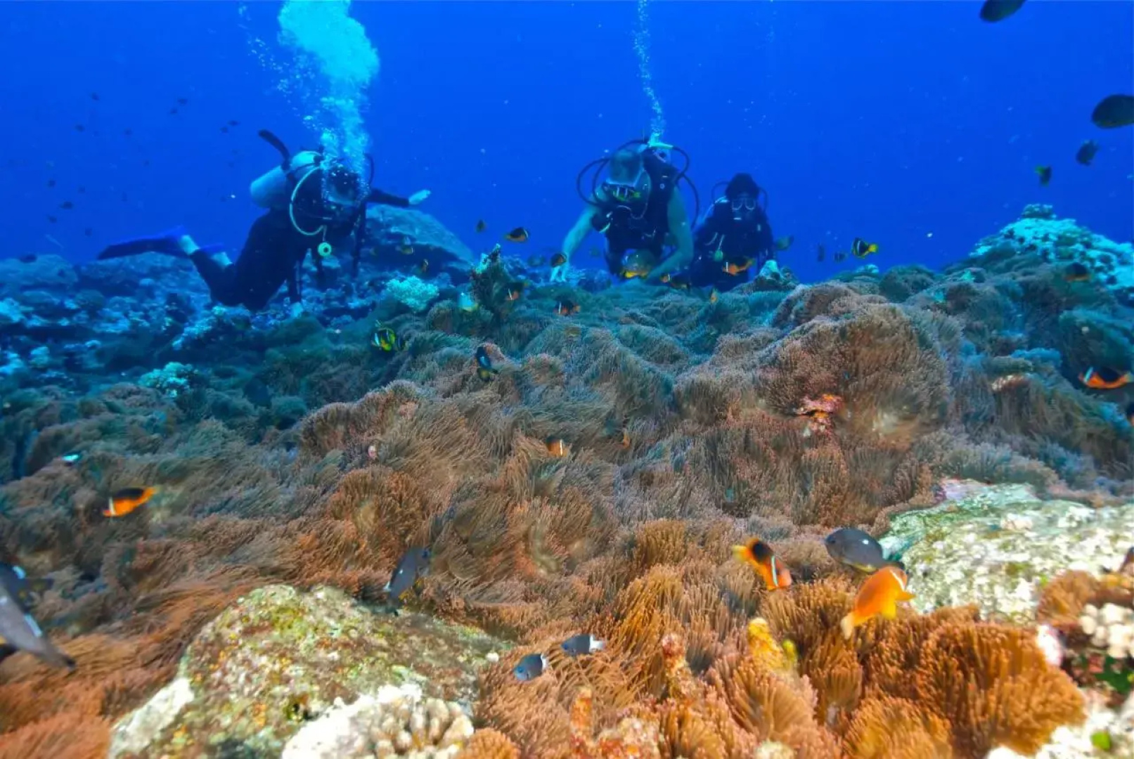 Reef Resort Vava'u