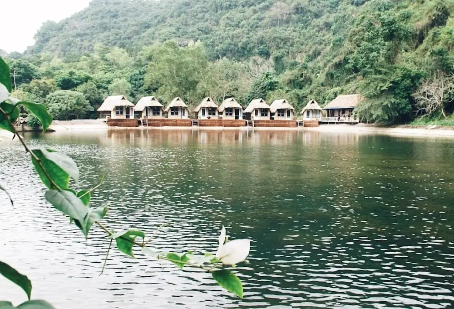 Hoi Lake Farmstay