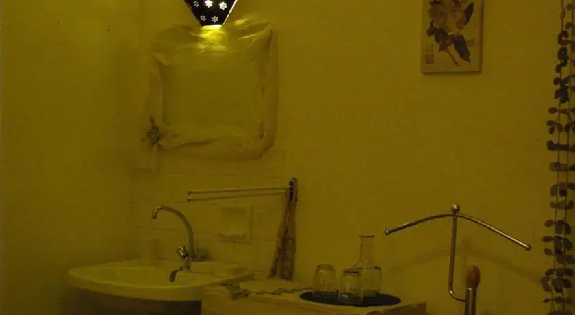 Les Dryades du Bois de Randan