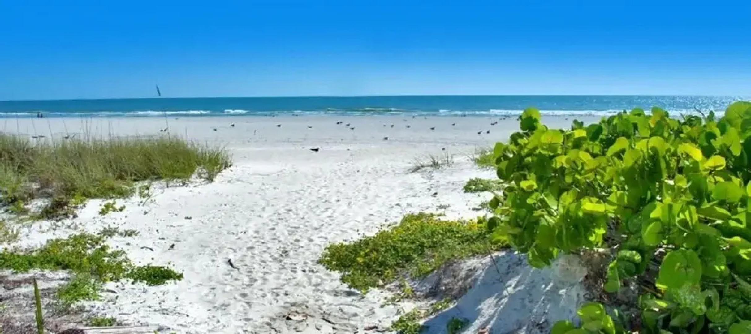 San Remo 304 by Teeming Vacation Rentals