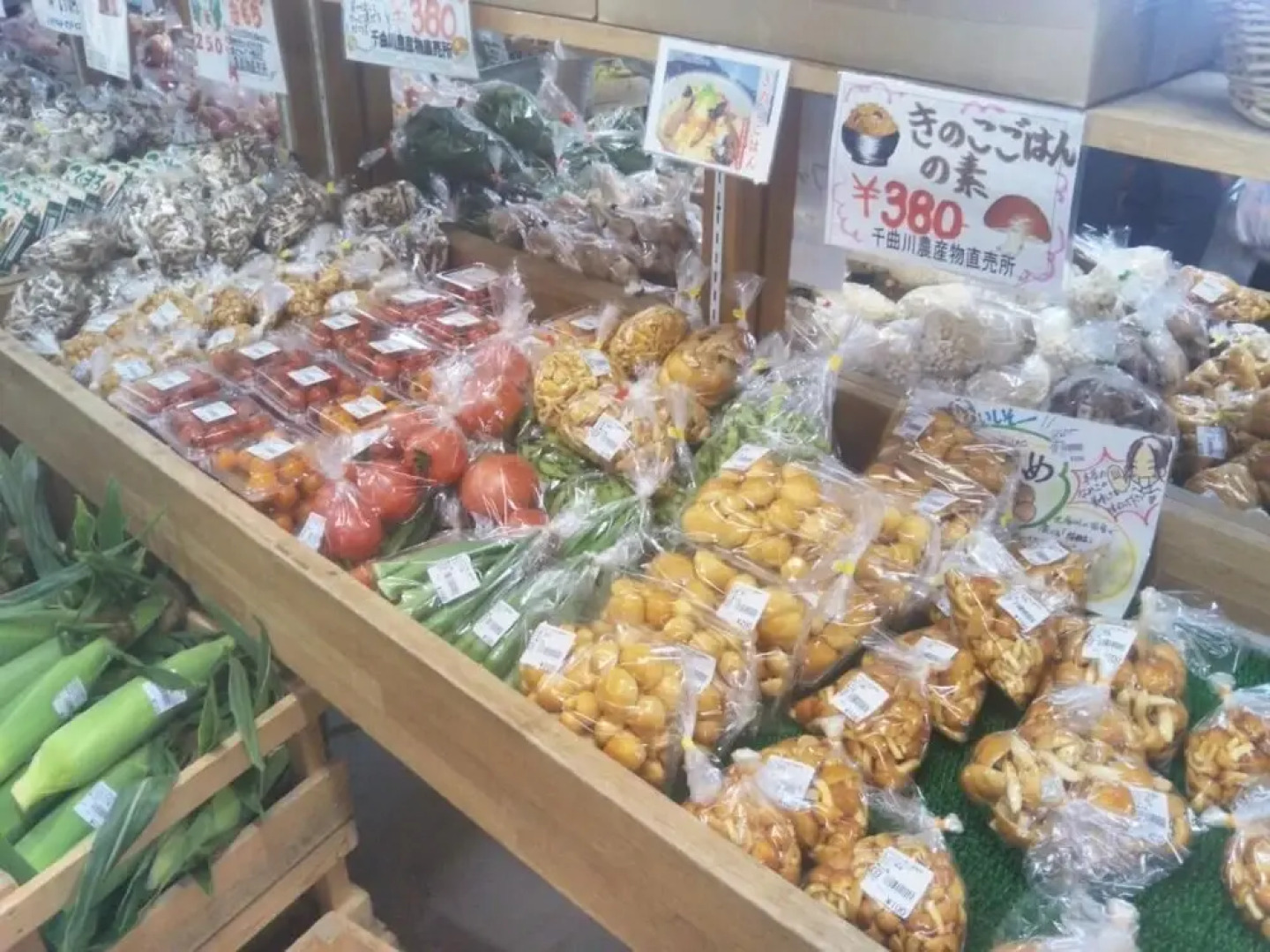 Guest House Hostel yukuru