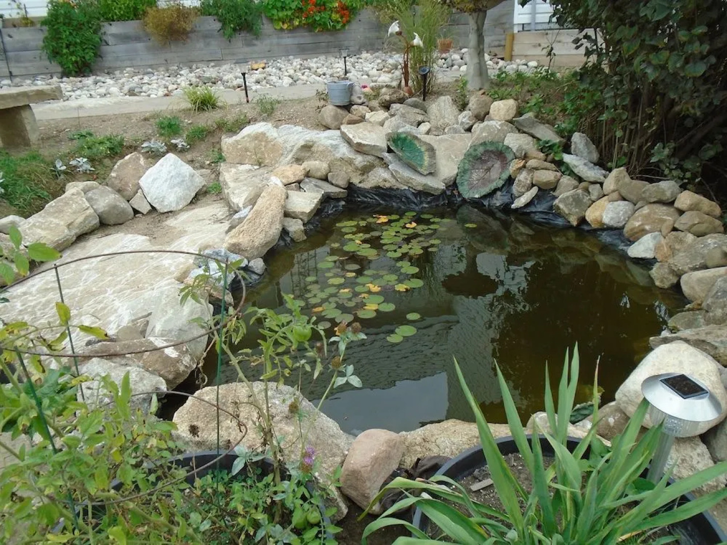 Circa 1894 B&B and Day Spa