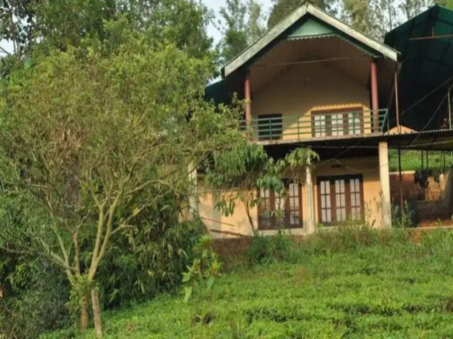 Tea Garden Holiday Home