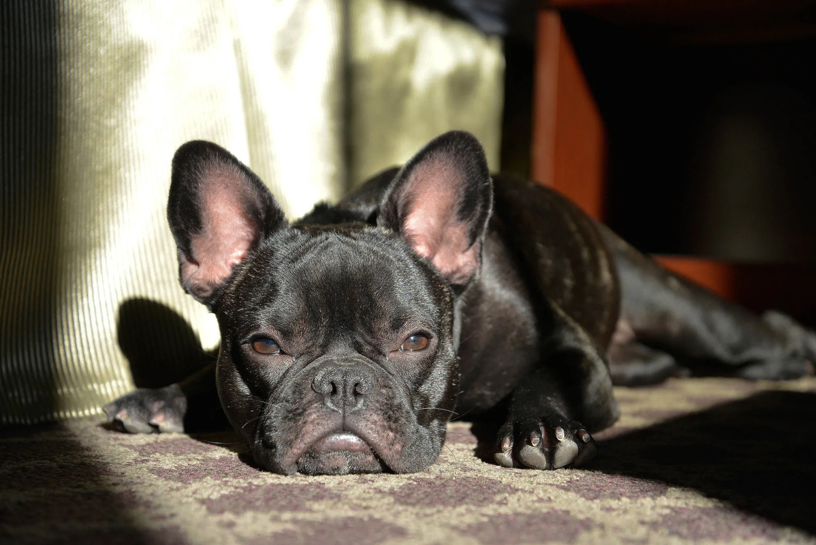 Riversage Billings Inn