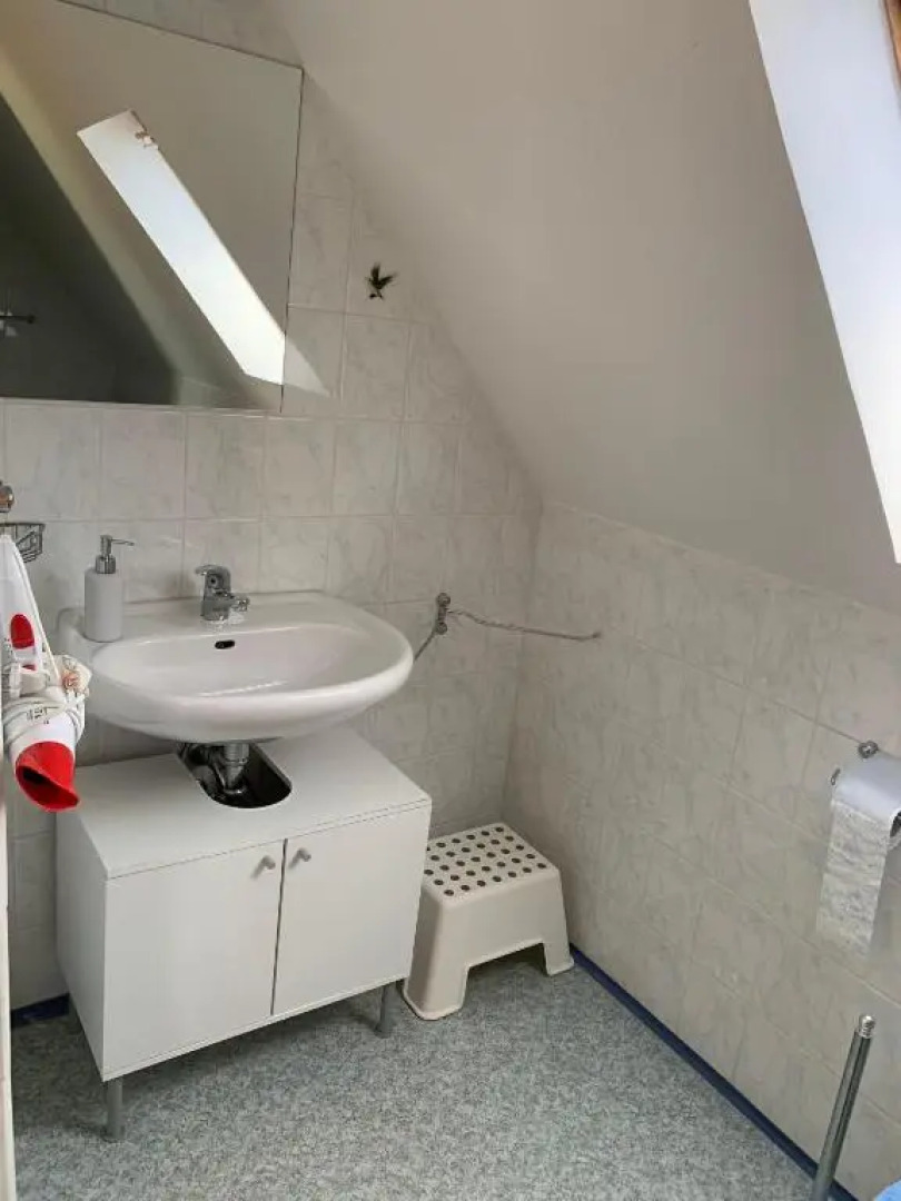 ferienwohnung-am-zoo