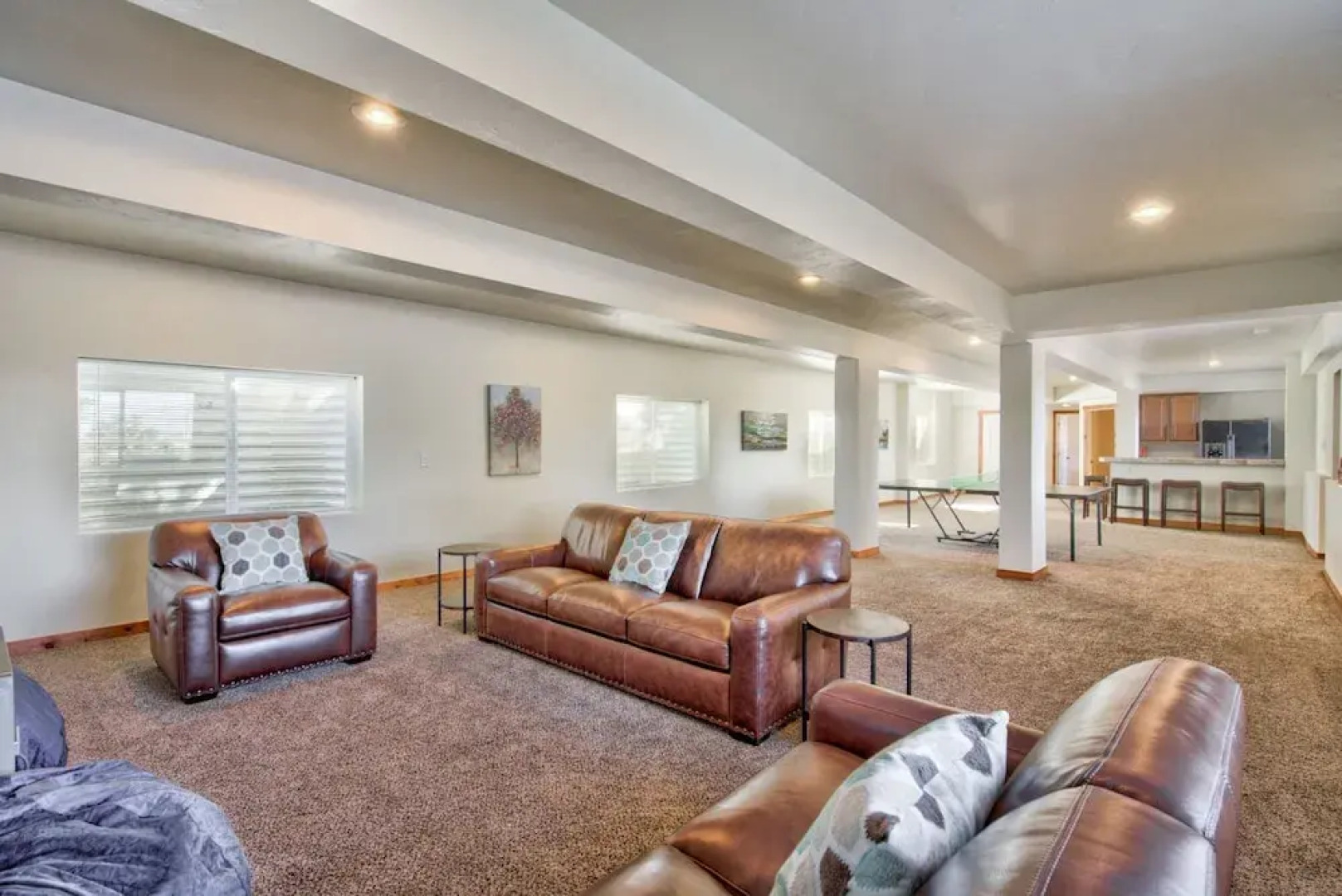 5bdcollegiate Peak Retreat Ping Pong Table