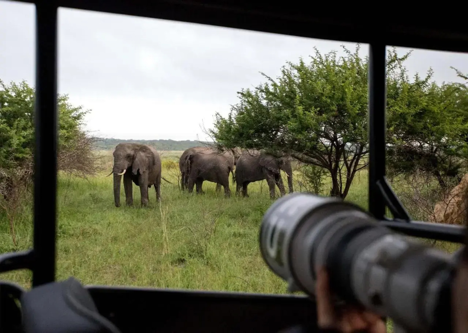 Royal Thonga Safari Lodge