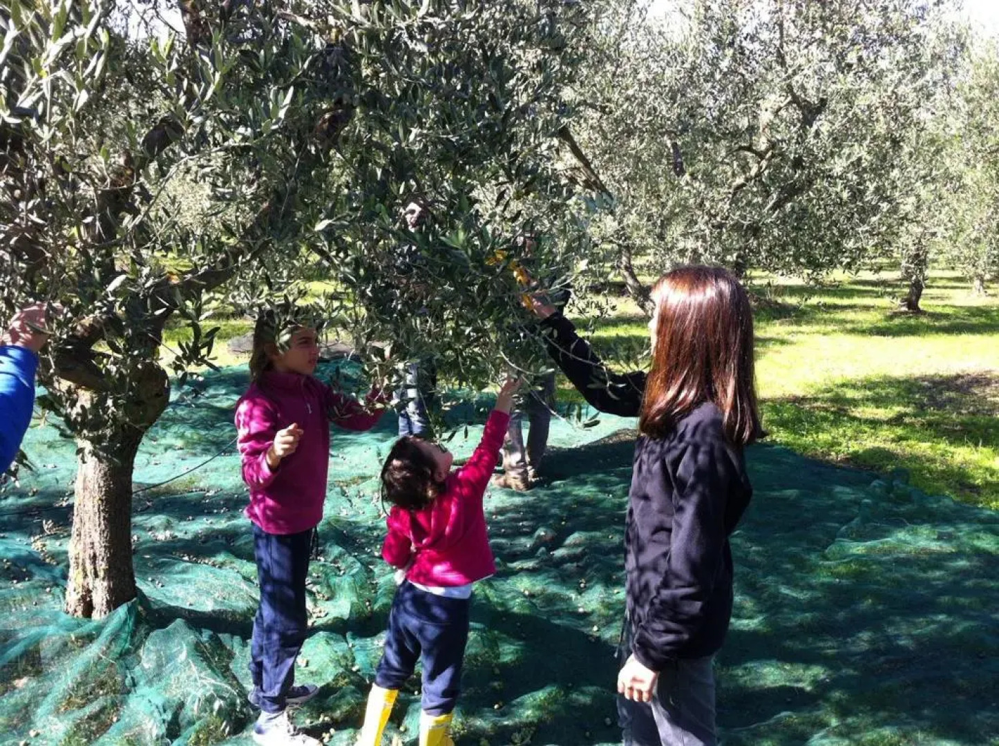 I Trulli Della Natura Bio
