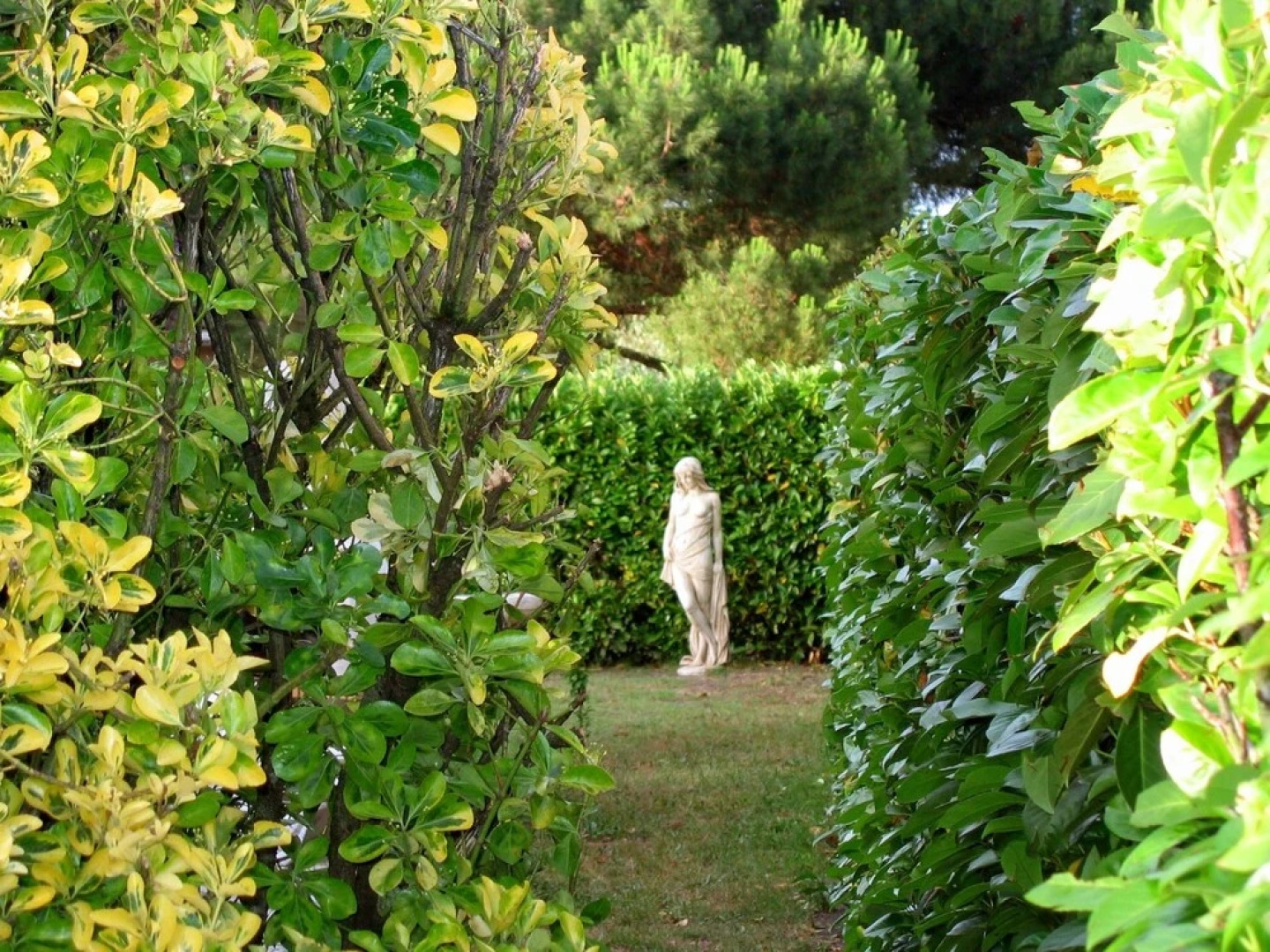 House With 2 Bedrooms in Pessac, With Enclosed Garden and Wifi - 40 km