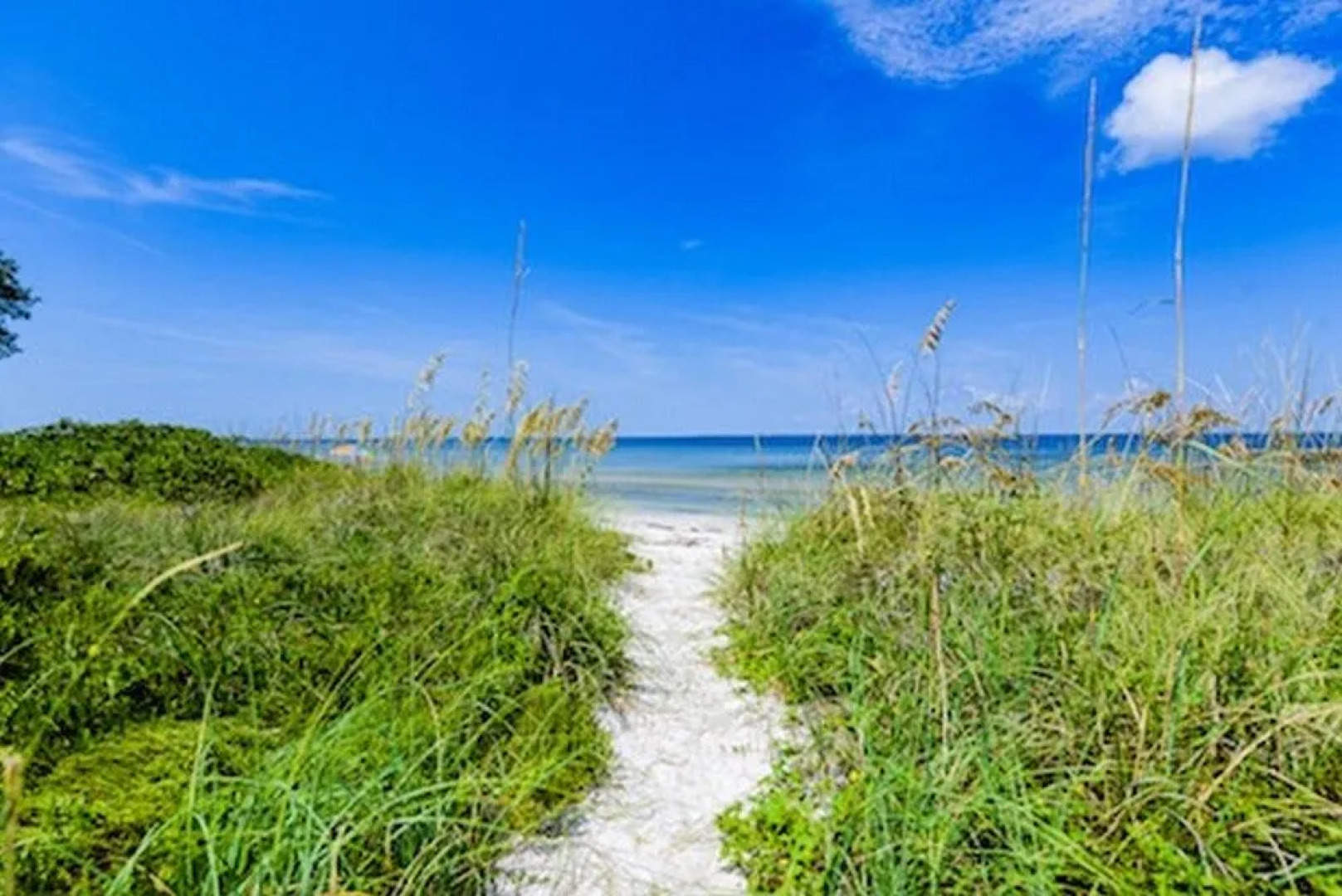 Blue Bay by AMI Locals