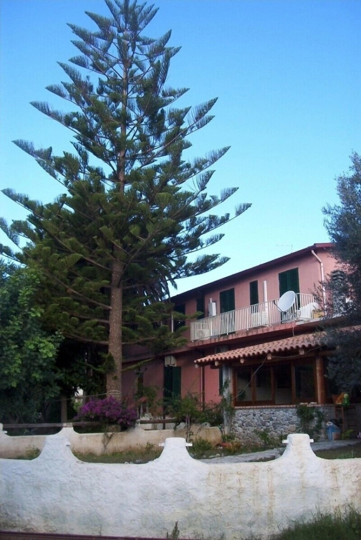 Azienda  La Spina Santa