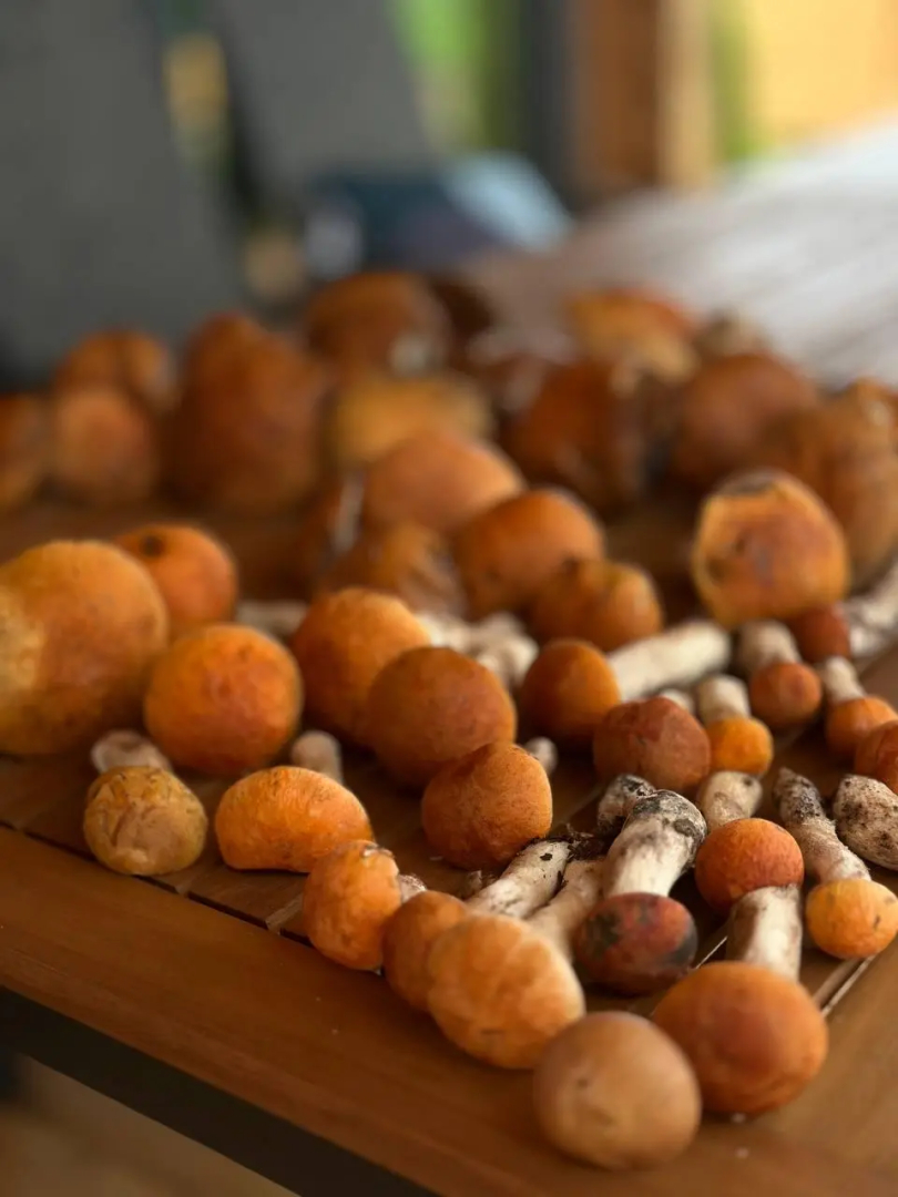 MARI HOLIDAY VILLAGE (Мари Холидей Вилладж)