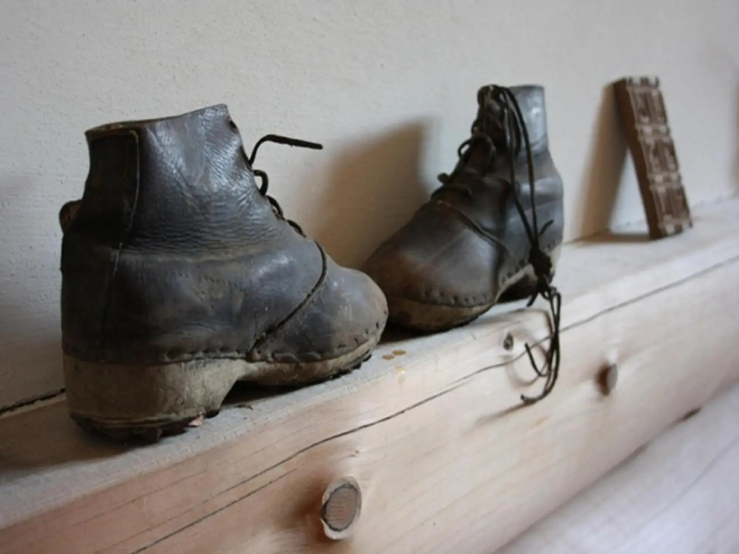 Urlaub im Herrenholz