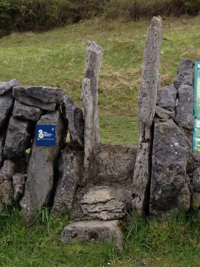 Burren Bushcraft - Camping & Adventures