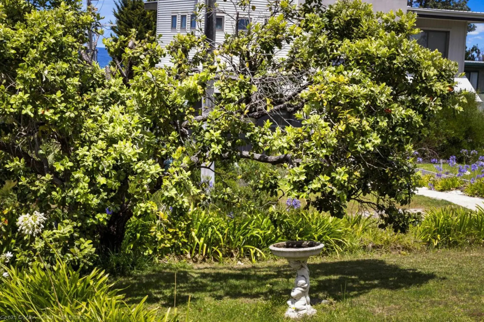 Sea Sunrise Ocean Views and Walk To Beach