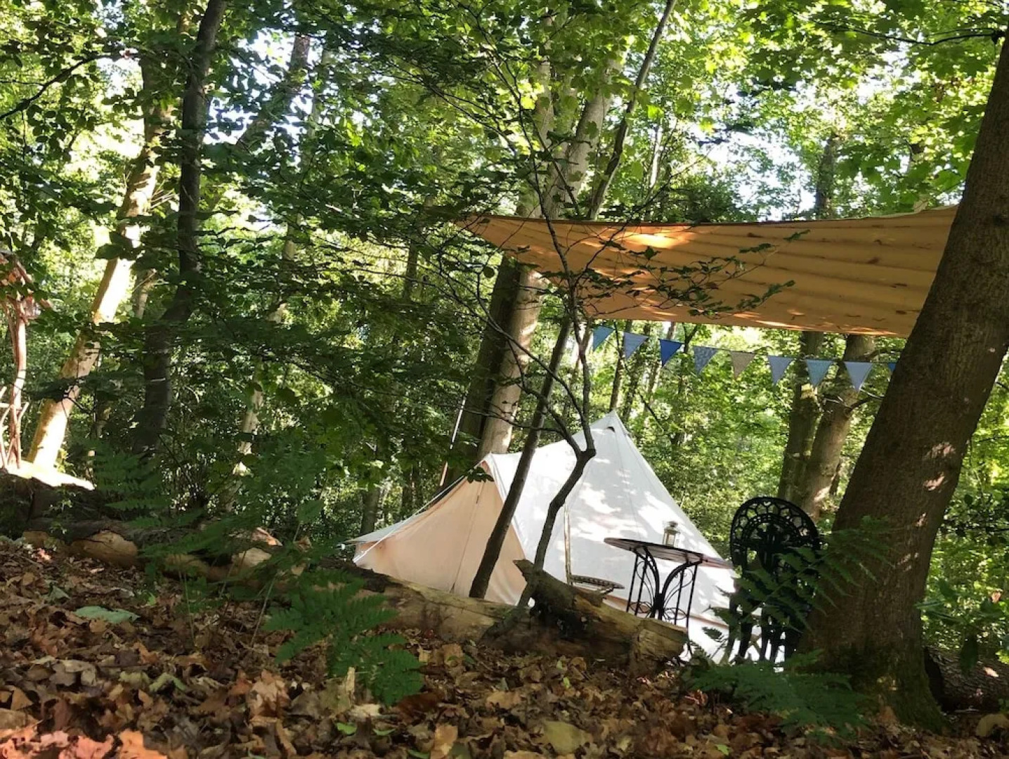 Hollington Park Glamping