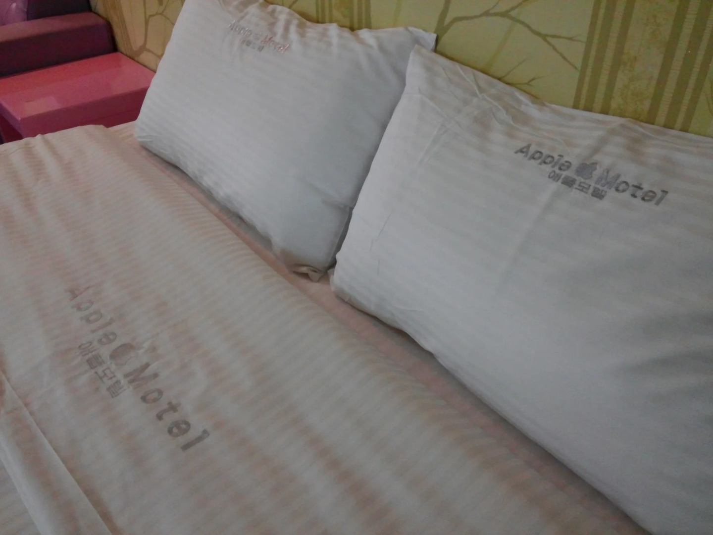 Apple House Mini Hotel