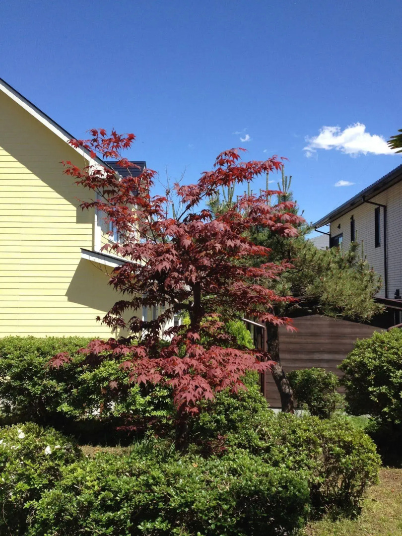 Stay Nikko Guesthouse – Hostel