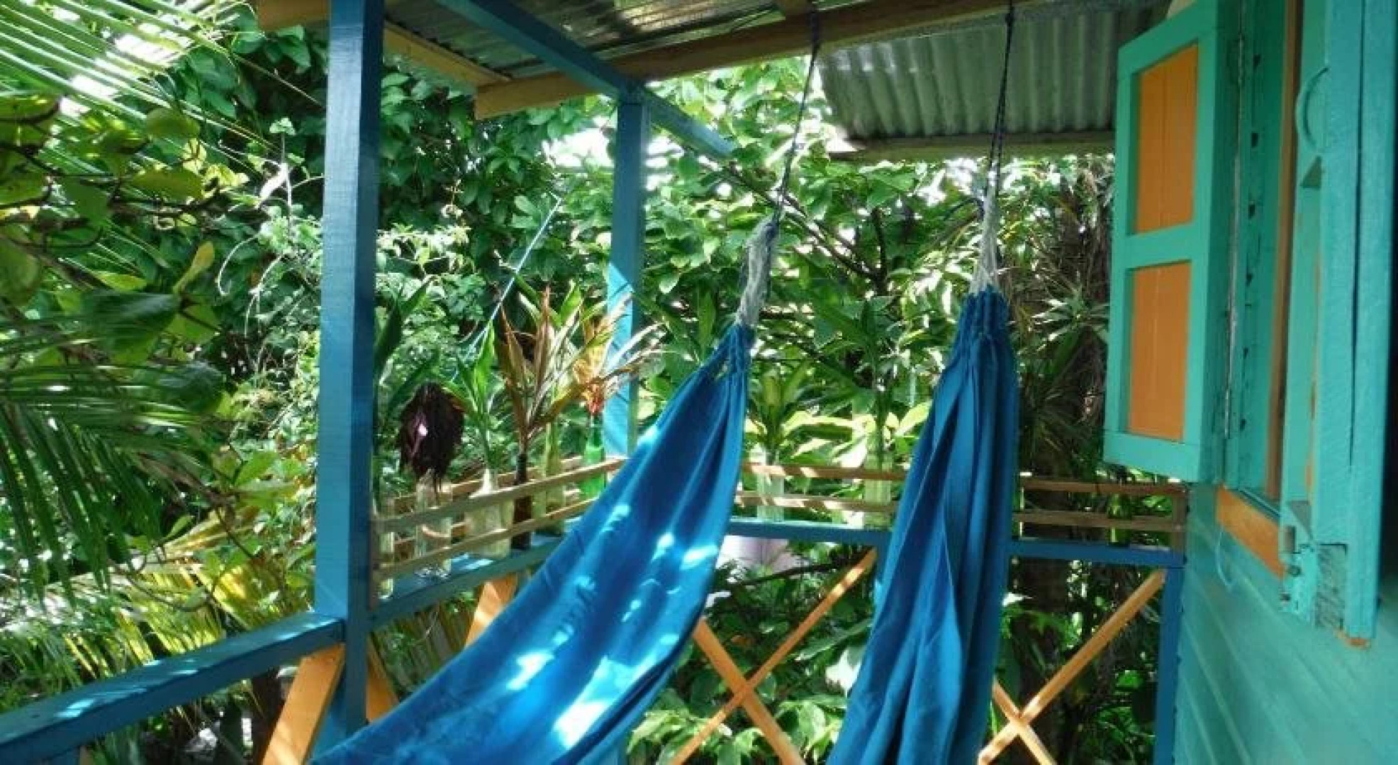 Panama's Paradise Saigoncito