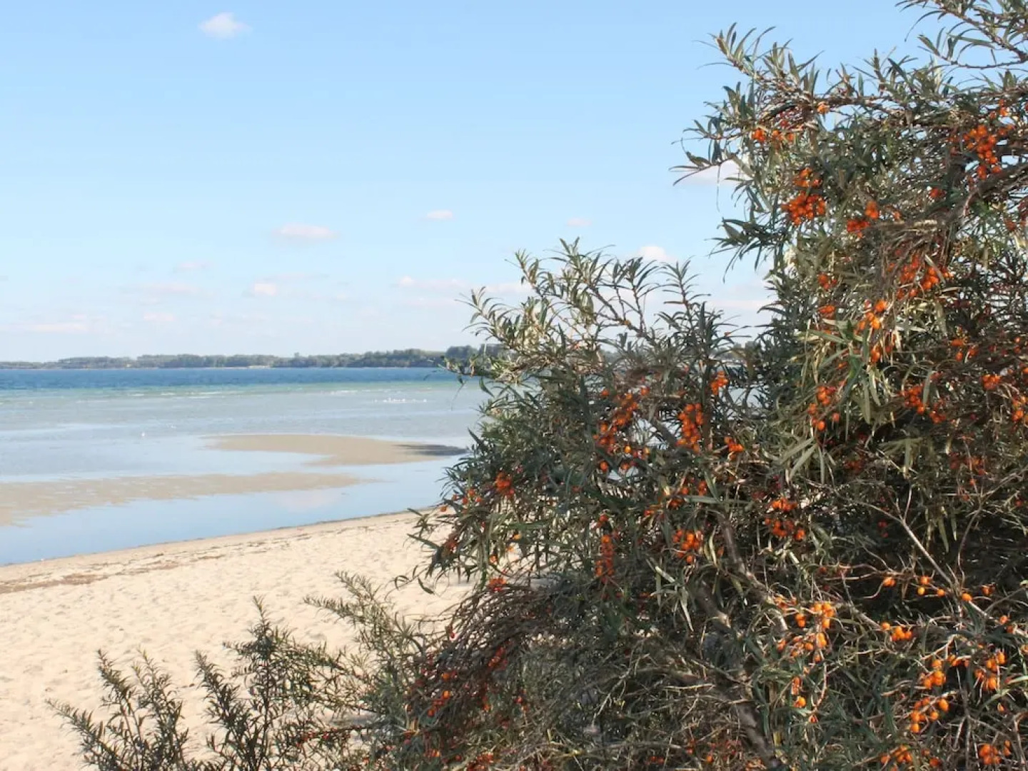 Idyllic Bungalow in Damshagen near Baltic Sea