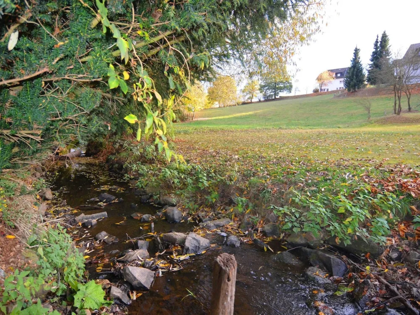 Holiday Home in Dreislar Near the ski Area