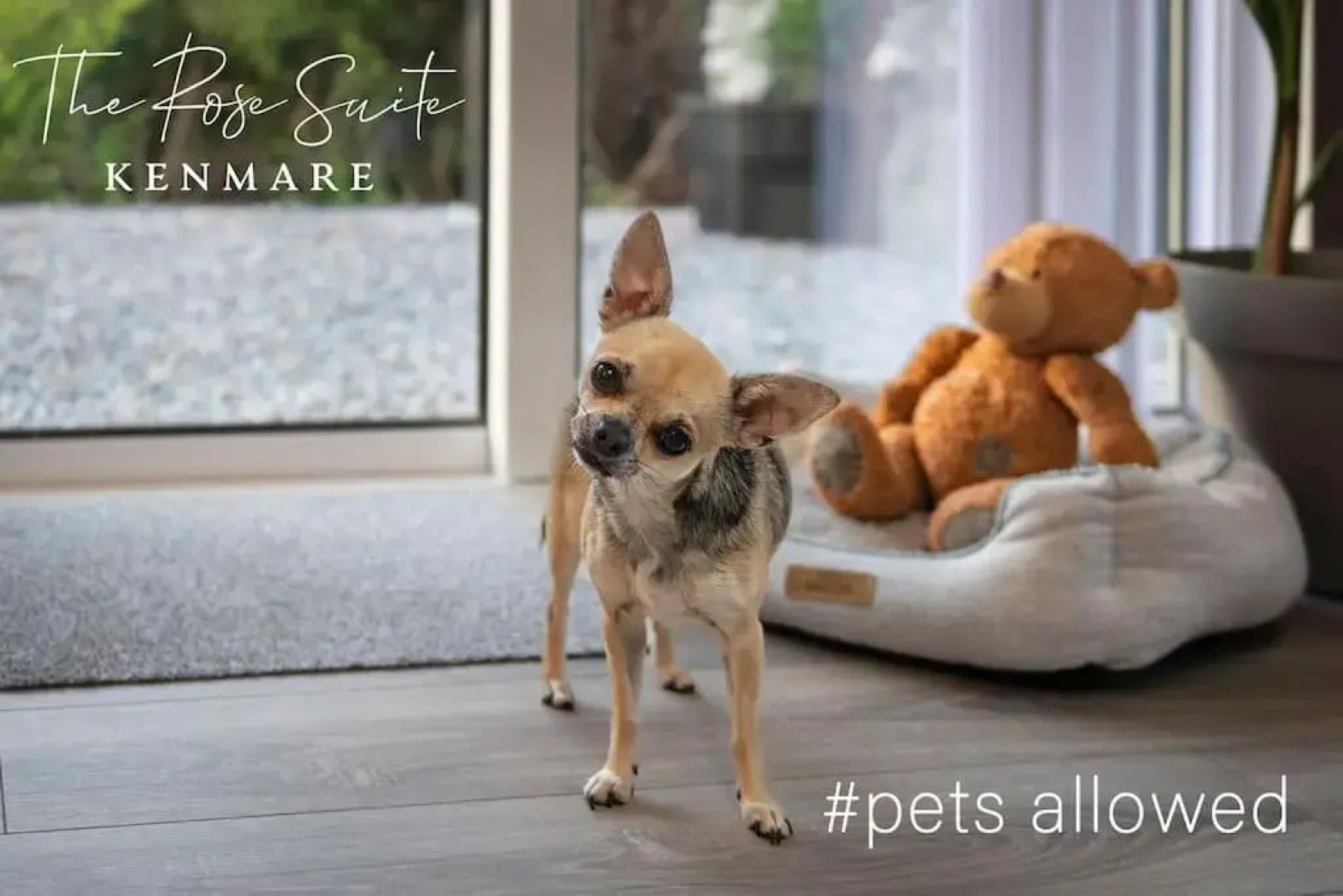 The Rose Suite Kenmare