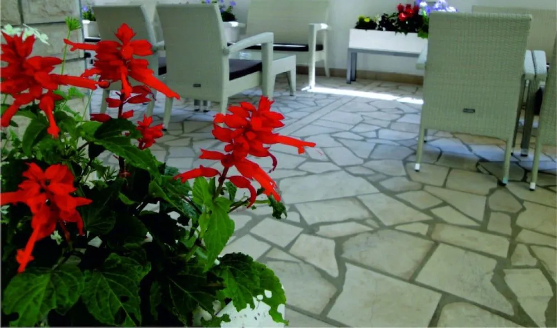 Bed and Breakfast Ivona