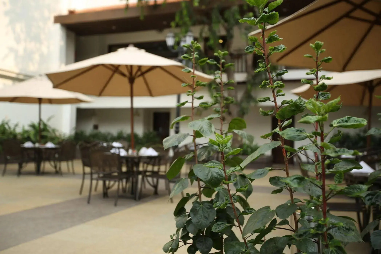 Rhythm Lonavala An All-Suite Resort