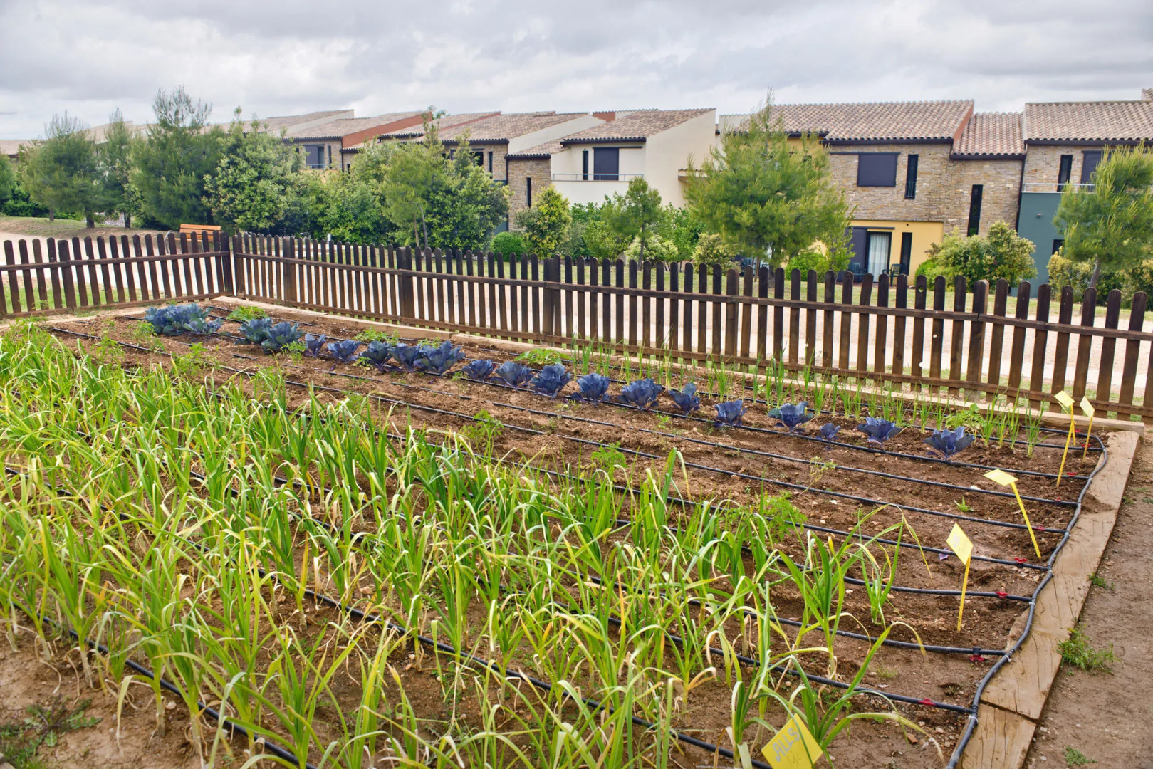 Vilar Rural d'Arnes by Serhs Hotels