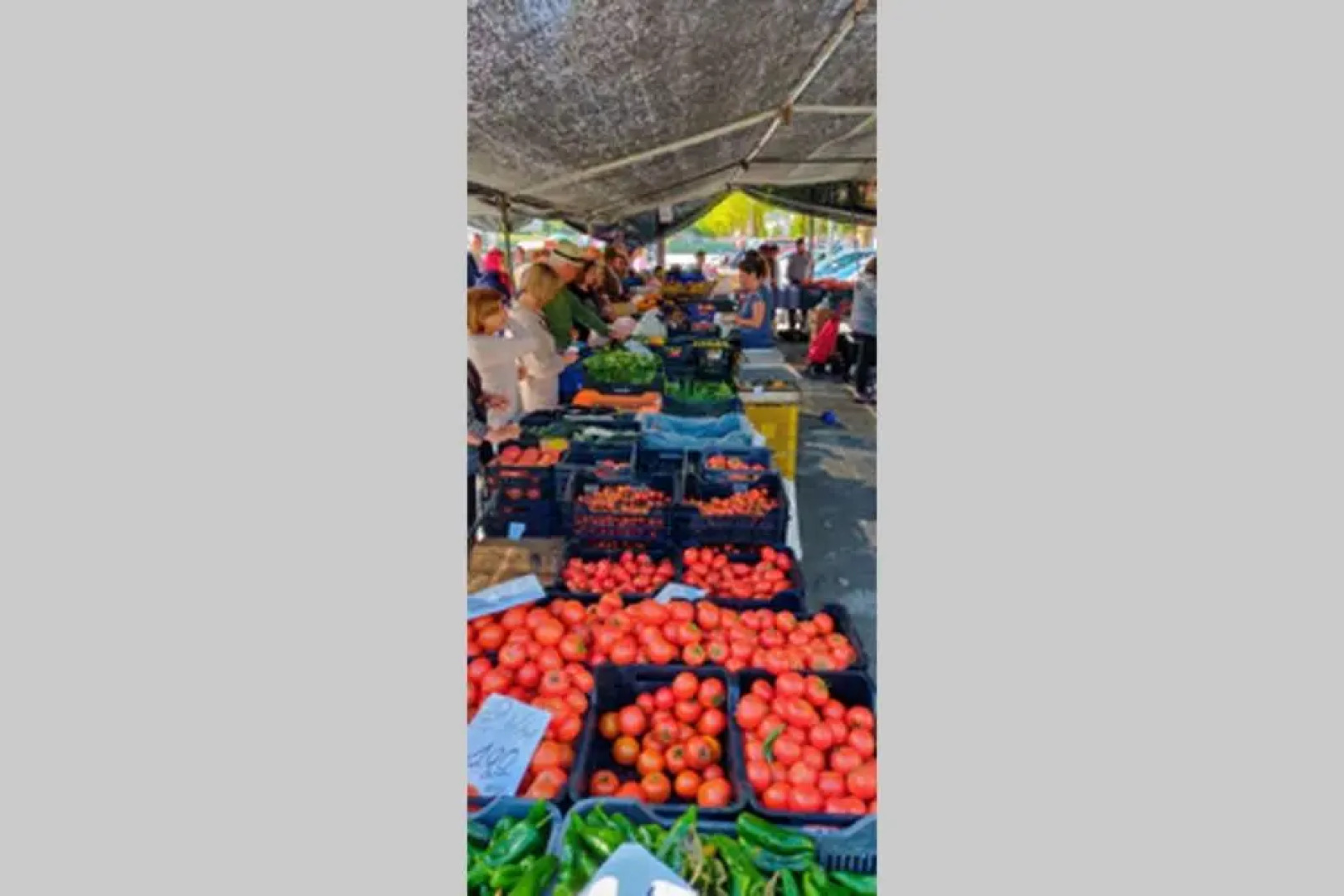 New Leaf Cortijo Apartment Full disabled access