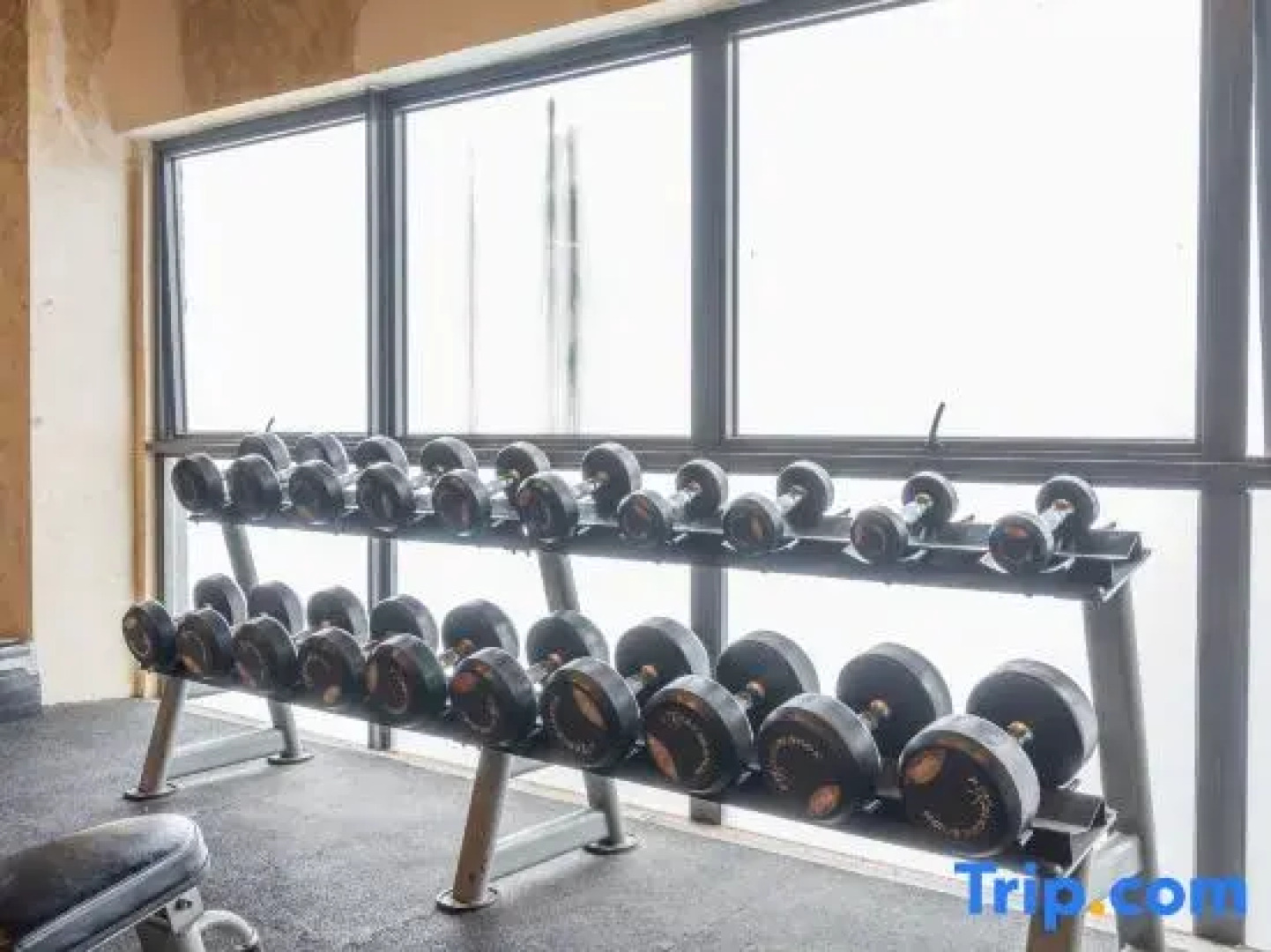 Genting Grandeur Suite - Ion D'elemen