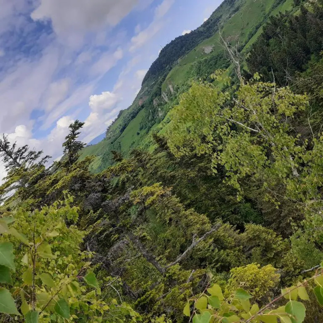 Room in Guest room - Sejour in green garden with lake view for 2 People