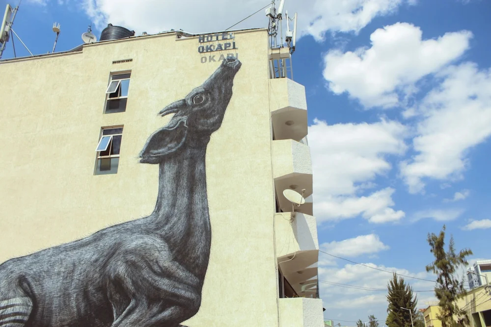 Okapi Hotel