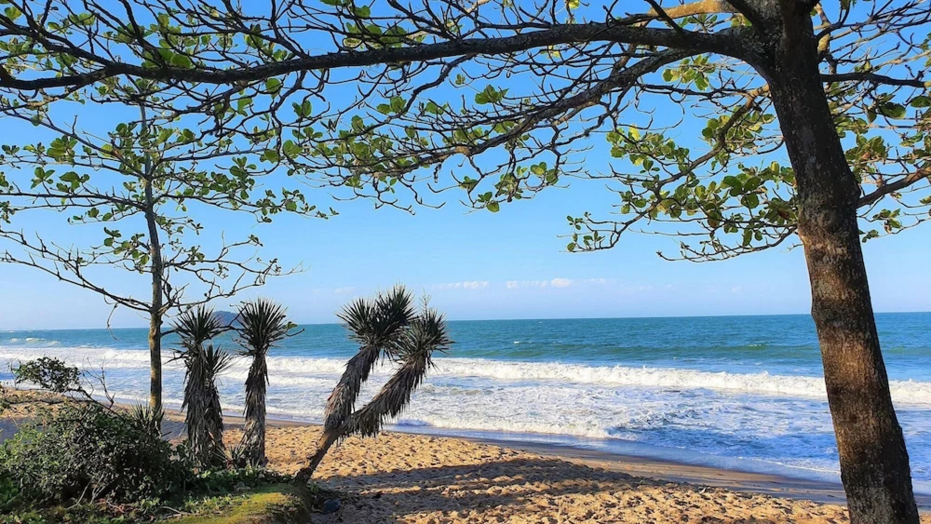 Nautilus Home Club - Penha - Polly