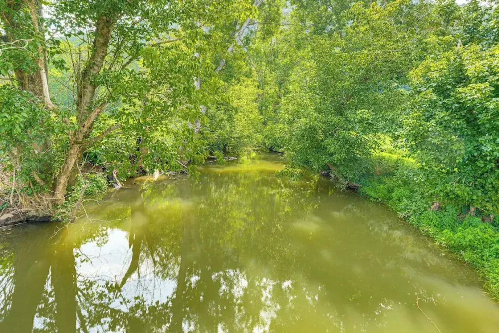 Rogersville Barn Apartment on 27 Acres w/ Pond!