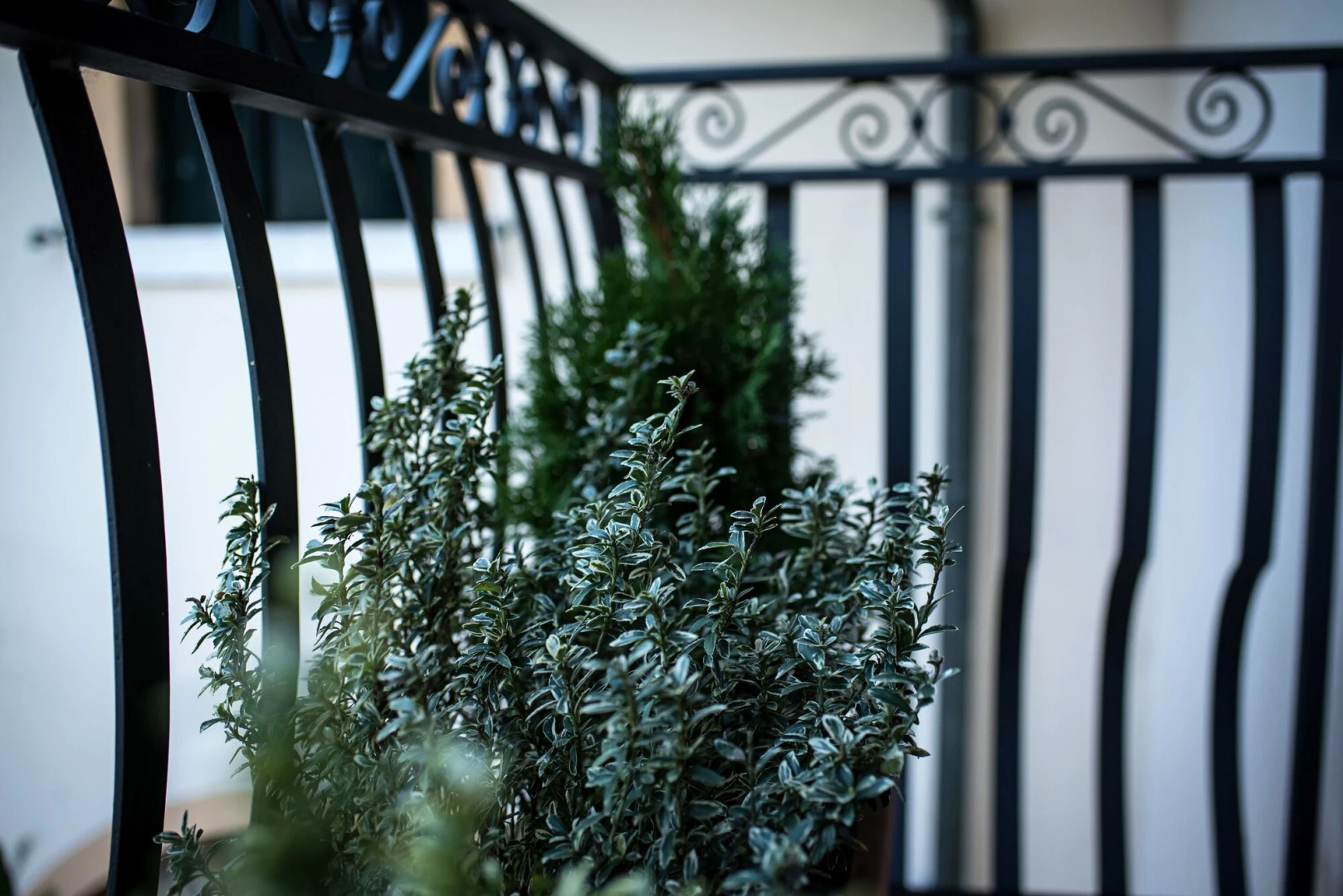 Hotel Villa Margherita